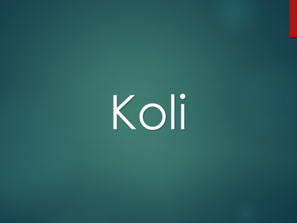 <span>Koli</span><i>→</i>